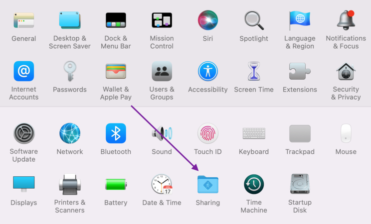Screen sharing feature