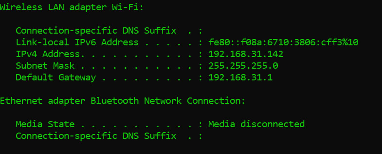 ipconfig output