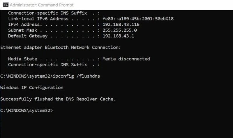 flush DNS cache