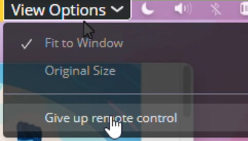 Give up remote control on Zoom