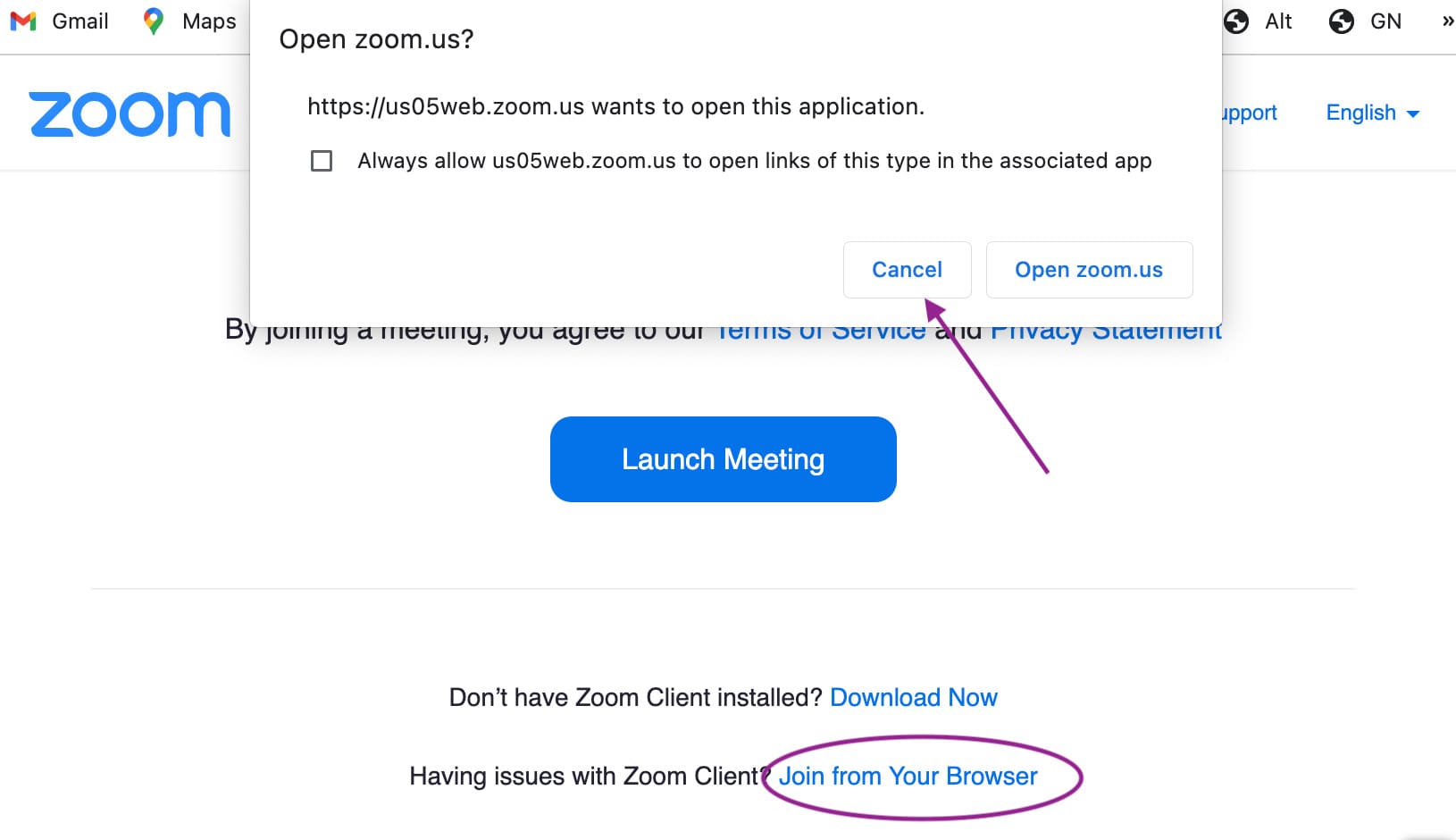 Zoom account in Browser