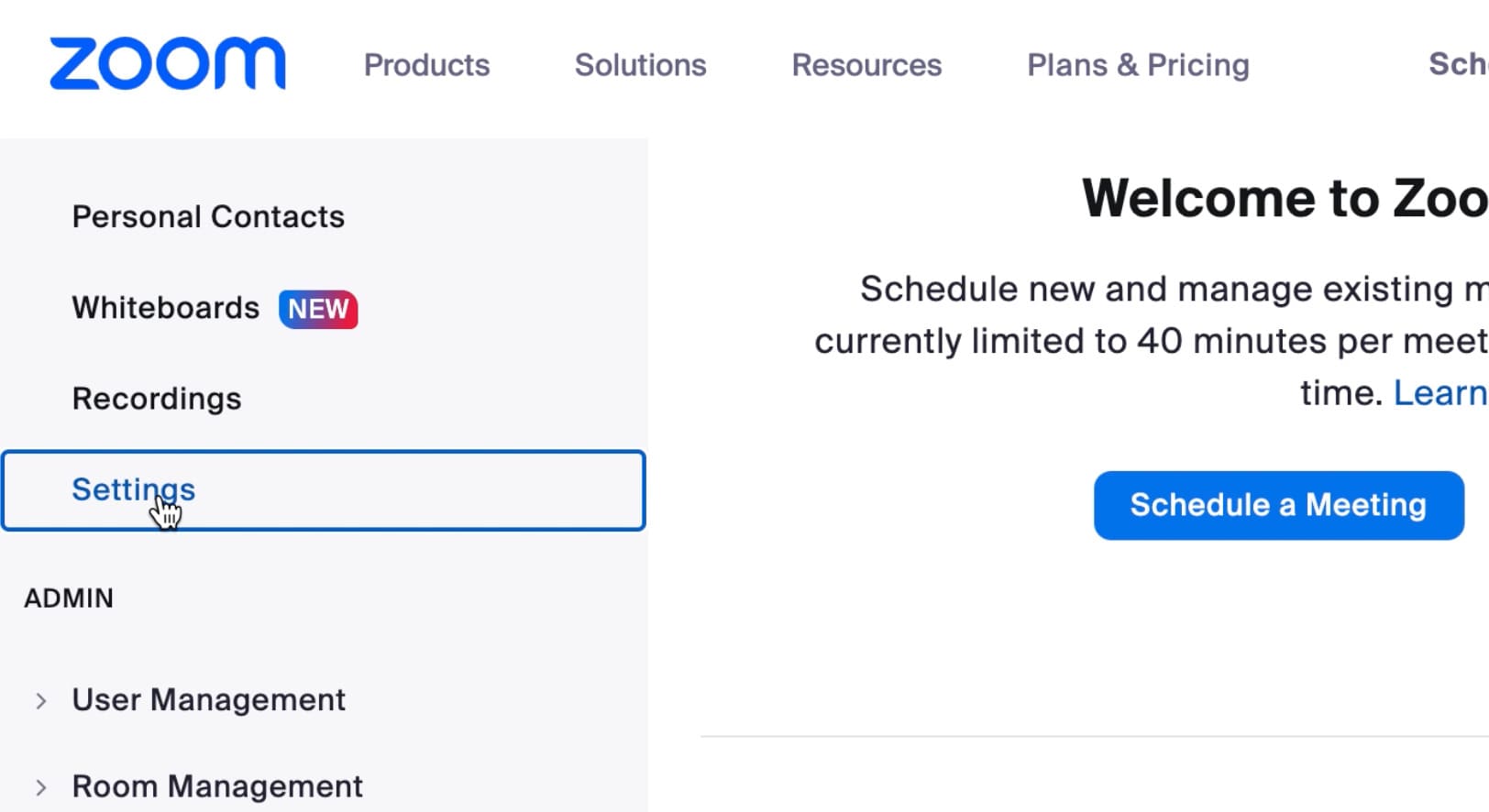 Zoom meeting settings