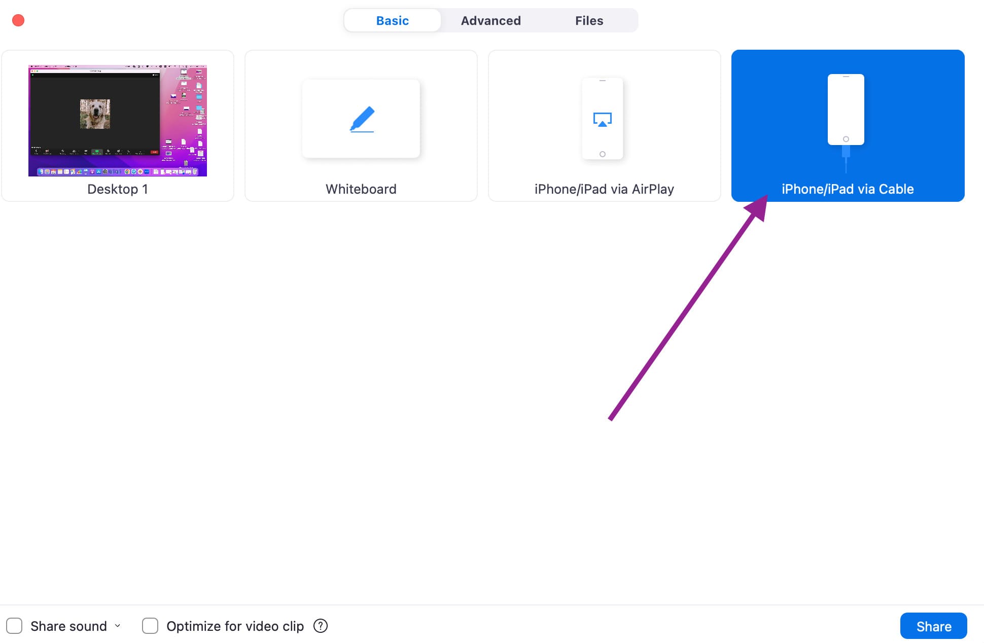 Share Zoom Audio via cable on Zoom