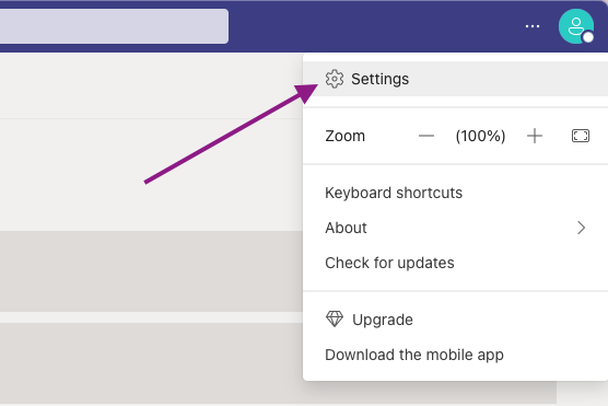 Microsoft Team Mic Settings