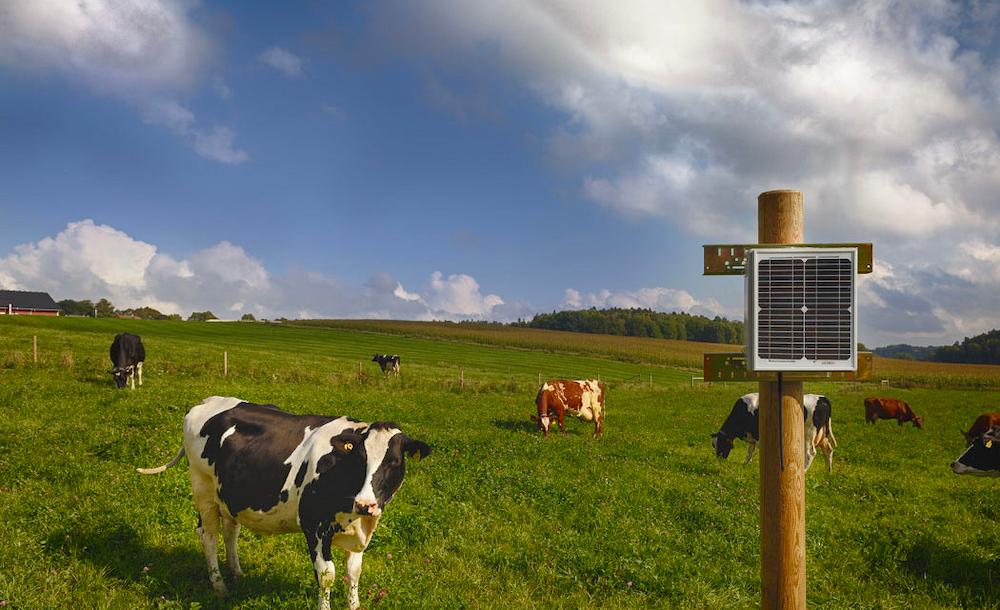 IoT-enabled livestock management IoT-enabled livestock management