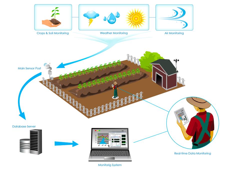 IoT crop management