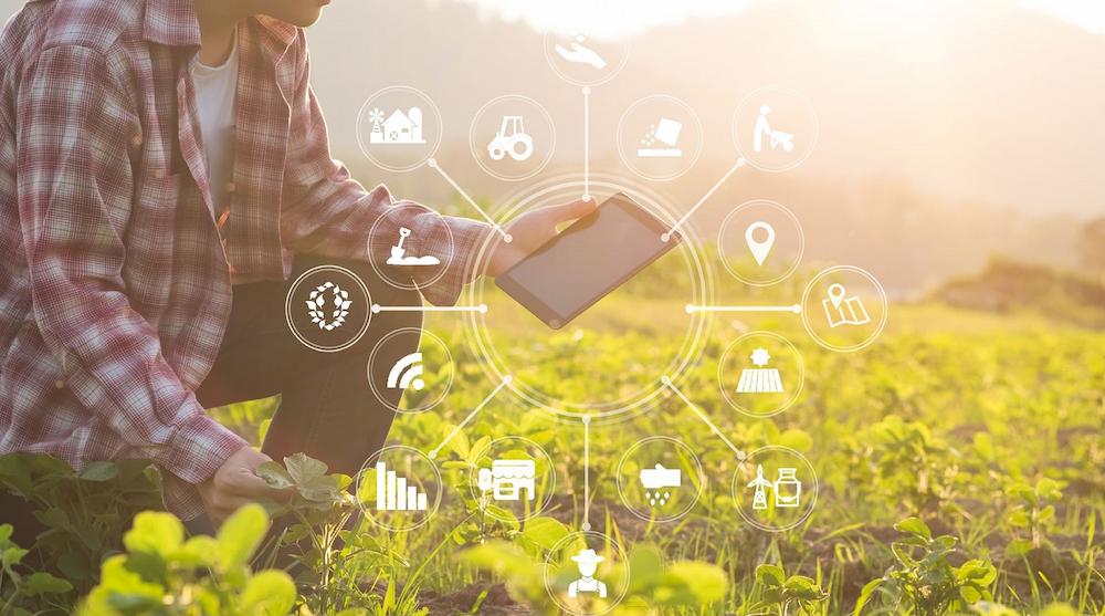 How IoT is Revolutionizing Agriculture: Exploring the Future of Farming How IoT is Revolutionizing Agriculture: Exploring the Future of Farming