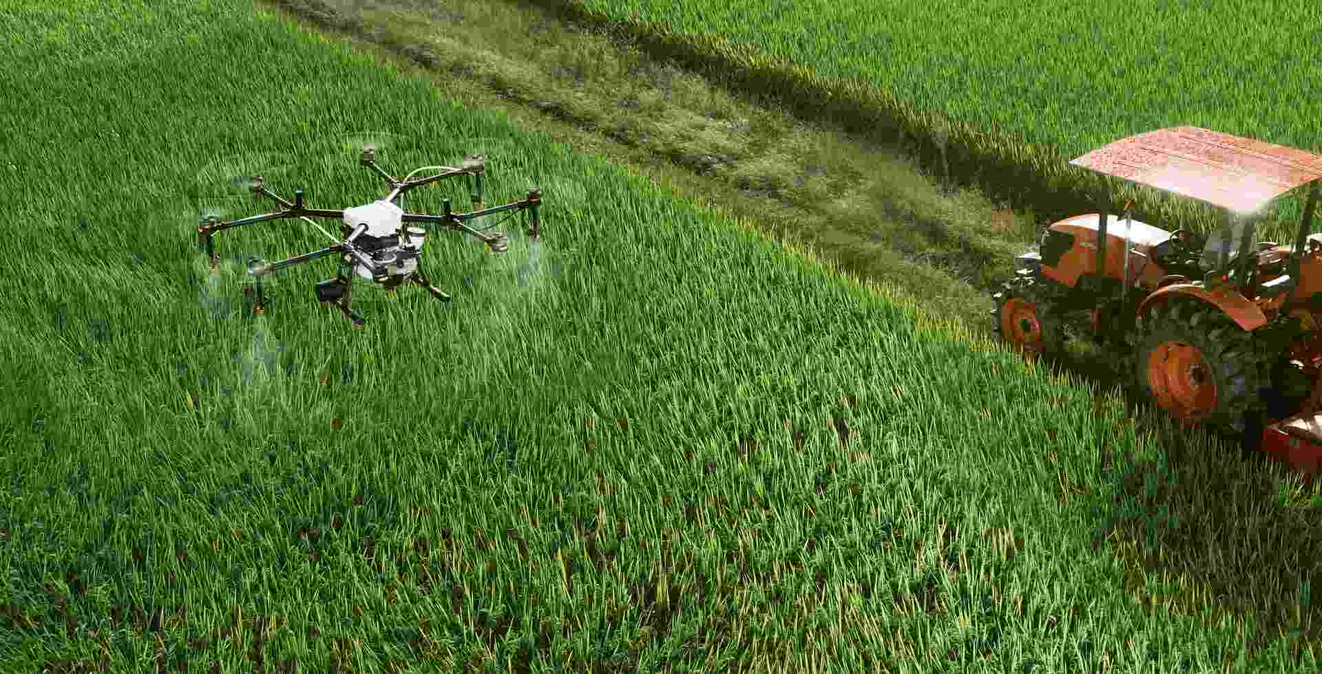 drones in farming