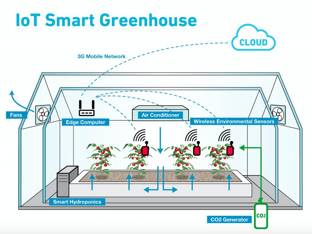 IoT smart greenhouse