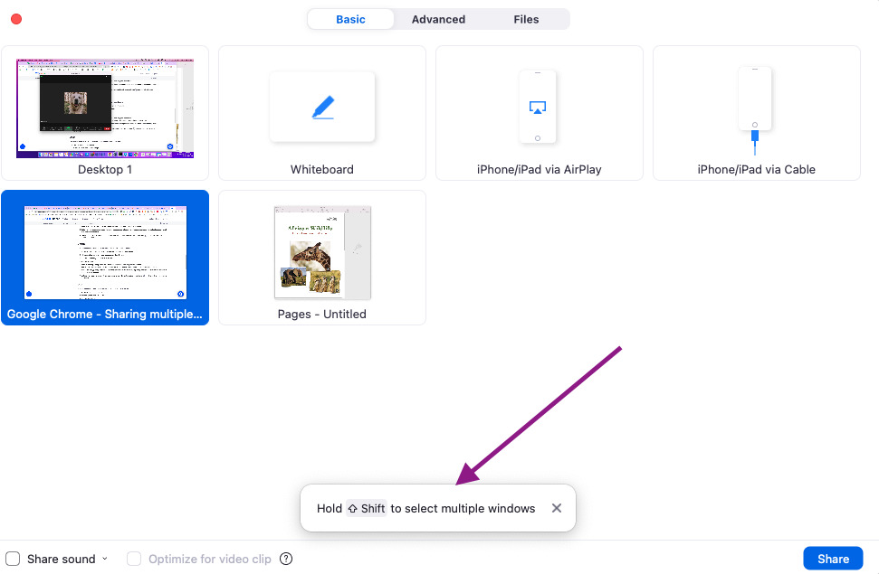 Choose multiple screen to share on Zoom