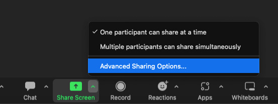 Advanced screen sharing options