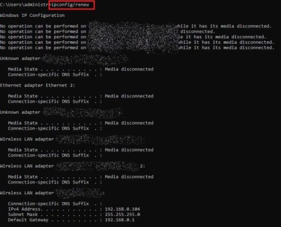 recebido de um servidor DHCP apenas para uma conexão de rede chamada LAN 2 Connection