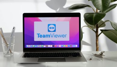 TeamViewer Free Limitations