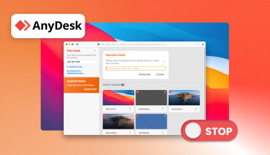How to stop AnyDesk access