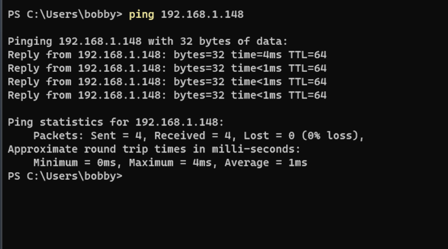 Pinging a local server
