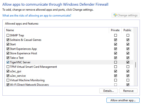 A maioria dos aplicativos de servidor VNC mais populares aparecerão na lista de exceções por padrão