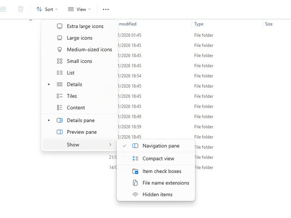 Showing hidden files and folders in Explorer