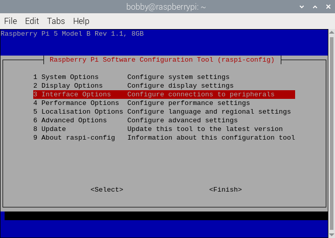 The text-based raspi-config menu